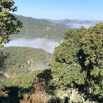 Indian Valley Open Space Preserve - Fog over Ignacio valley - Parks Near Me - Novato, California