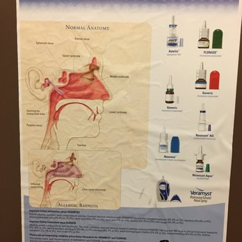 Alameda Centre Physicians - Allergists Near Me - Alameda, California