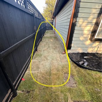 Pristine Landscaping and Lighting. - Dead sod installed - Landscaping Near Me