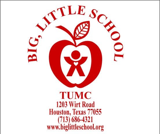 Big Little School - childcare center in Houston, TX