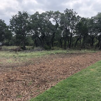 Catheys Austin Tree Service - No brush pile - Tree Services Near Me - Cedar Park, Texas