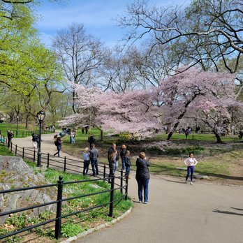 Central Park Conservancy - Parks Near Me - New York, New York Central Park Conservancy - Parks Near Me - New York, New York