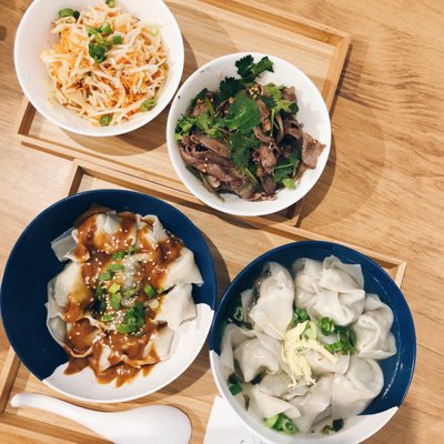 The Daily Dumpling Wonton Co by null