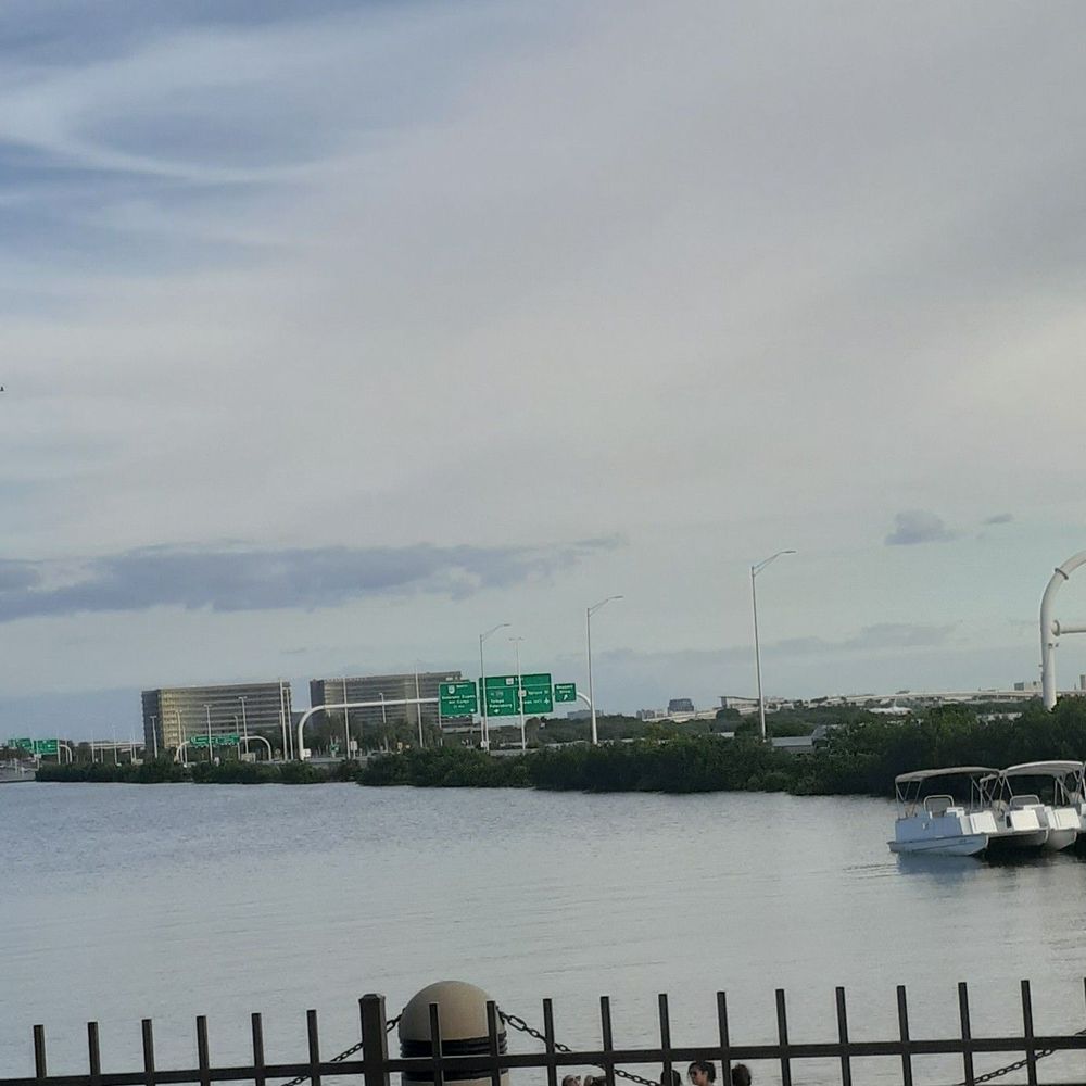 Aqua - Seafood Near Me - Tampa, Florida Aqua - Seafood Near Me - Tampa, Florida