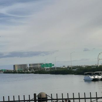 Aqua - Seafood Near Me - Tampa, Florida