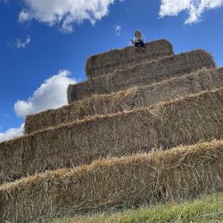 Van Buren Acres