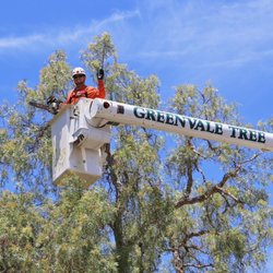 Greenvale Tree Company
