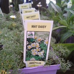 Grass Pad