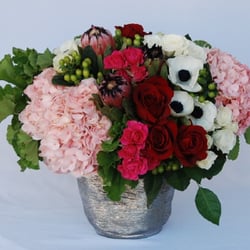 Crescenta Valley Flowers - Shy Love