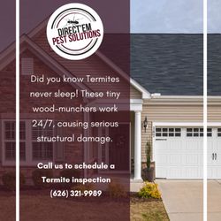 Direct'em Pest Solutions - Did you know....