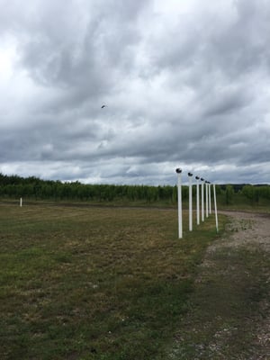 Black Star Farms Old Mission by null