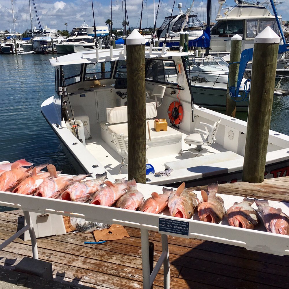Daisy Mae Fishing Charters - Limited out on groupers - Fishing Near Me - Dunedin, Florida Daisy Mae Fishing Charters - Limited out on groupers - Fishing Near Me - Dunedin, Florida
