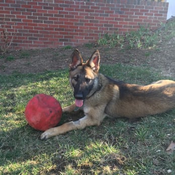 Kreative Kennels - Pet Training Near Me - Oakdale, California Kreative Kennels - Pet Training Near Me - Oakdale, California