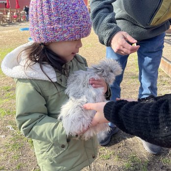 The Red Barn Farm - Petting Zoos Near Me - North Dinwiddie, Virginia The Red Barn Farm - Petting Zoos Near Me - North Dinwiddie, Virginia