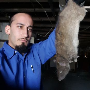 1O1 Pest Control - Pest Control Near Me 1O1 Pest Control - Pest Control Near Me