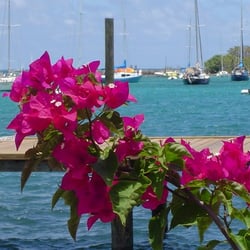 Nate's Boathouse - Boardwalk in Christiansted