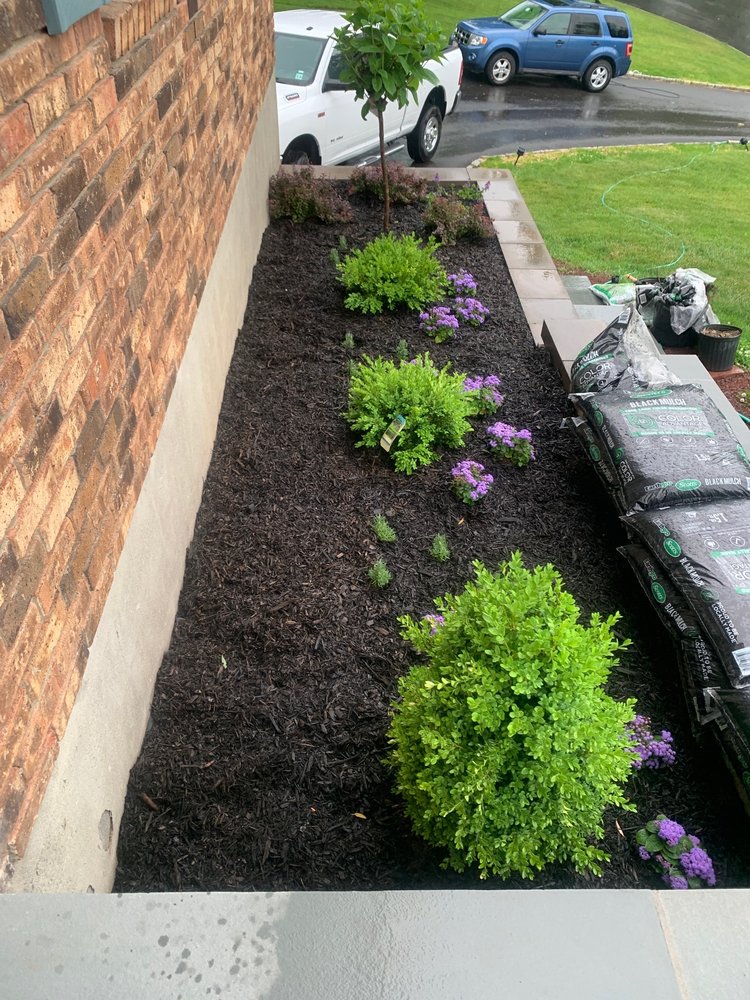 ORANGE NURSERY & STONE SUPPLY Updated October 2024 21 Photos 1129