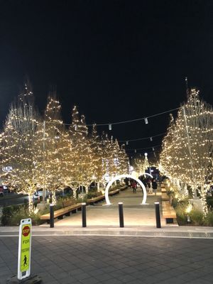 Cross County Center by null