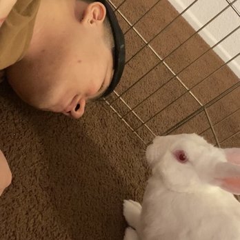 Bunny Bunch - Orange County - My boyfriend bonding with Mochi - Animal Shelters Near Me - Fountain Valley, California Bunny Bunch - Orange County - My boyfriend bonding with Mochi - Animal Shelters Near Me - Fountain Valley, California