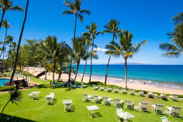 The Hale Pau Hana by null