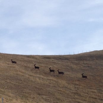 Holdener Park - Parks Near Me - Livermore, California