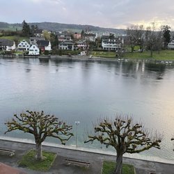 Restaurant & Hotel Rheingerbe - View of the Rhine from our window.