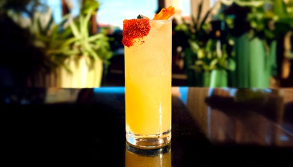 Redbird Scratch Kitchen + Bar by null