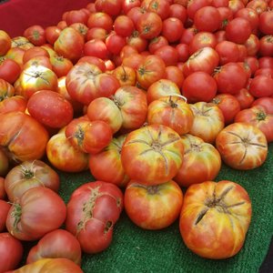Photo of Melrose Place Farmer's Market - Los Angeles, CA, United States. Produce antonio
