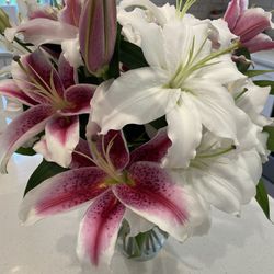 Flora Designs - These are a week old. Magnificent!