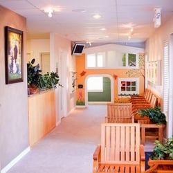Children's Dentistry of Twin Falls - The waiting room. A play place!