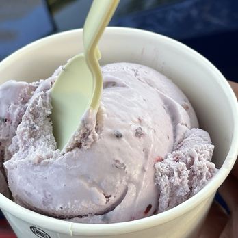 Prince Puckler's Gourmet Ice Cream - Marionberry - Ice Cream & Frozen Yogurt Near Me - Eugene, Oregon