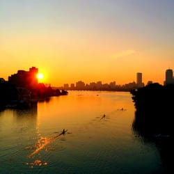 BOSTON UNIVERSITY BRIDGE 17 Reviews Commonwealth Ave & Boston Univ