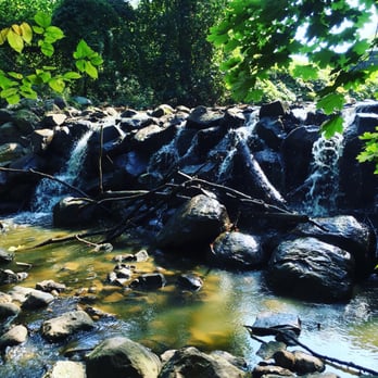 Clove Lakes Park - Mini waterfall - Parks Near Me - Staten Island, New York