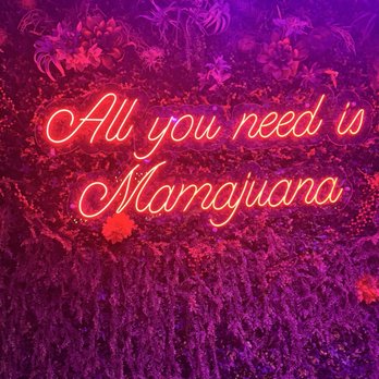 Mamajuana Cafe - Latin American Near Me - Houston, Texas Mamajuana Cafe - Latin American Near Me - Houston, Texas