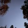 Houston Mesa Campground