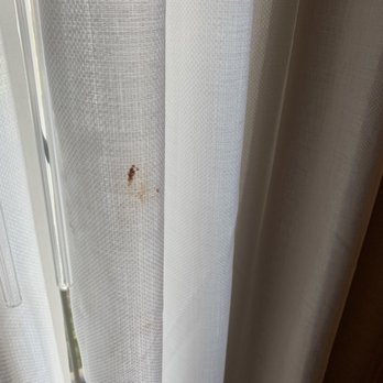 Hyatt Regency - BLOOD!!!! On the curtains. - Hotels Near Me - Tulsa, Oklahoma Hyatt Regency - BLOOD!!!! On the curtains. - Hotels Near Me - Tulsa, Oklahoma