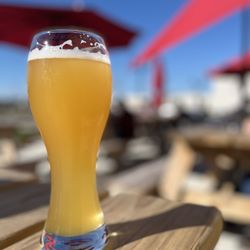 PetSkull Brewing - Beer