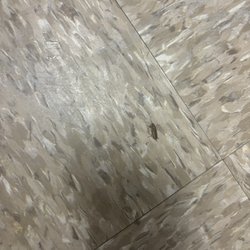 Hilltop Apartments - A dead roach I killed.