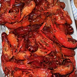 Crawfish