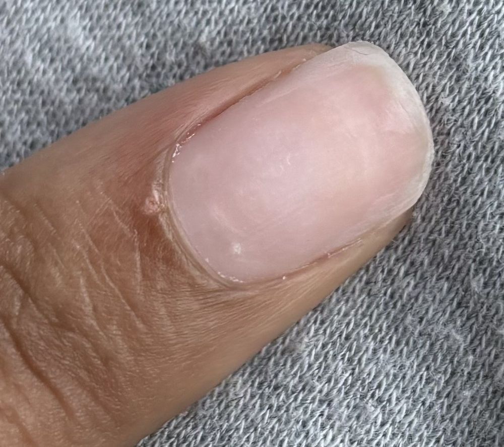 Lan Spa Nails & Tan Logo