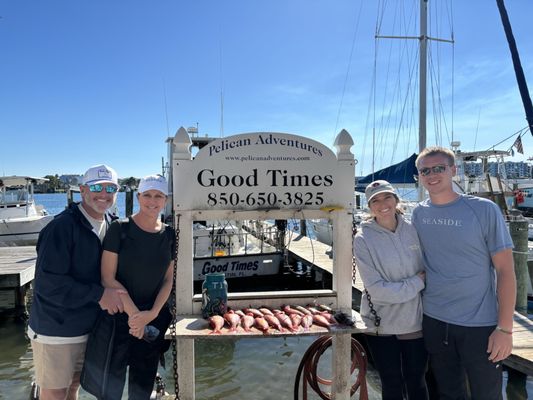 Pelican Adventures by null