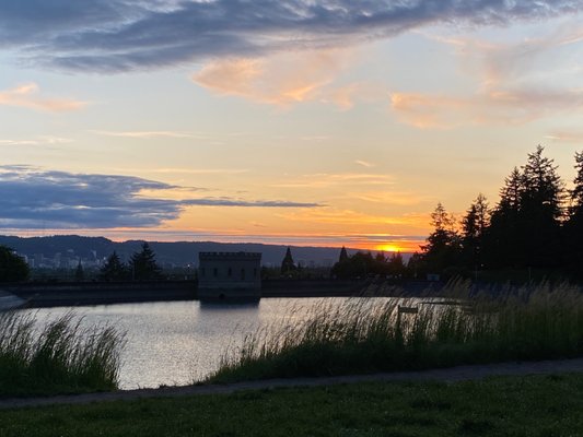 Mt. Tabor Picnic A by null