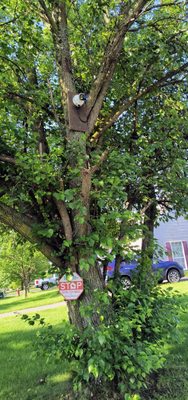 Self Secured Networks