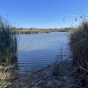 San Joaquin Marsh Wildlife Sanctuary - Parks Near Me - Irvine, California San Joaquin Marsh Wildlife Sanctuary - Parks Near Me - Irvine, California