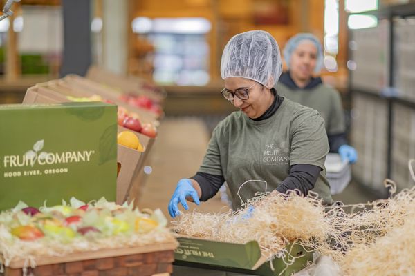 The Fruit Company - Factory Experience by null