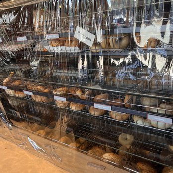 Bagel Boys Cafe - a display of bagels - Breakfast & Brunch Near Me - Alpharetta, Georgia