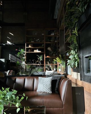 Backstory Coffee Roasters - North Loop by null
