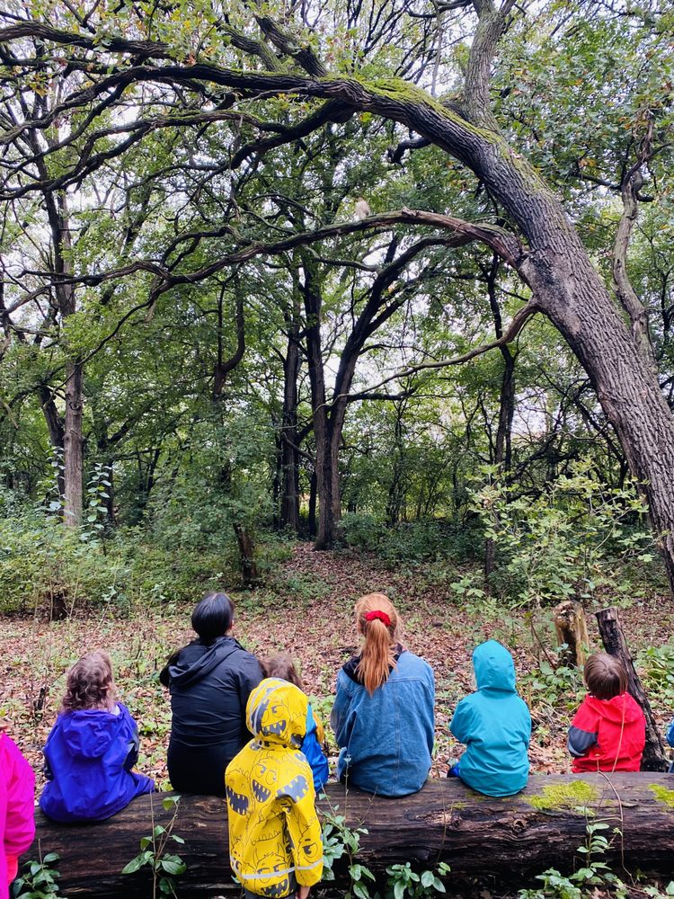 Madison Waldorf School - childcare center in Madison, WI