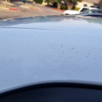 Jurassic Car Wash - Paid the highest price for the works, and left with a dirty car. - Car Wash Near Me - Austin, Texas Jurassic Car Wash - Paid the highest price for the works, and left with a dirty car. - Car Wash Near Me - Austin, Texas