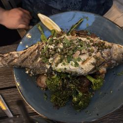 Hooked Bar & Grill - The Chef's Catch fish. Not mine and don't remember name but very fresh with good seasoning.